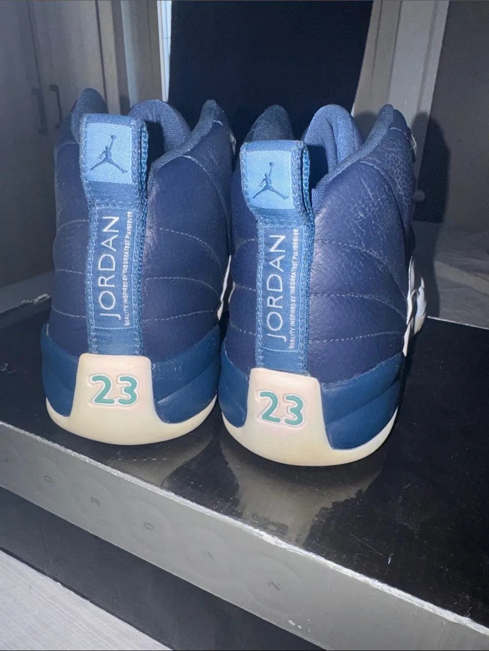 Jordan 12s (GS) size 7